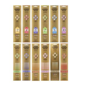 Gonesh Incense Sticks Variety Pack