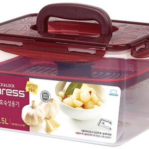 LockandLock Airtight Food Container