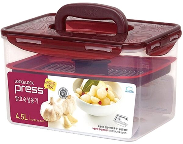 LockandLock Airtight Food Container