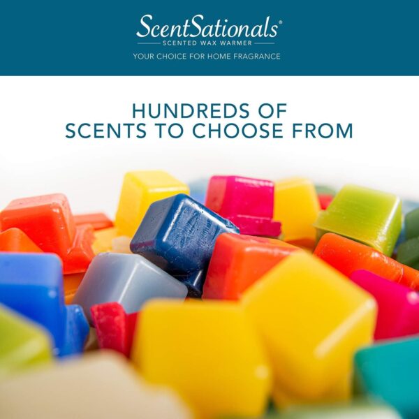 ScentSationals Pumpkin Spice Wax Melts - Image 4