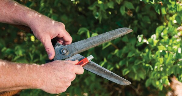 Micro 100 Speedy Sharp Knife Sharpener - Image 4