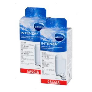 Intenza Water Filter for Gaggia